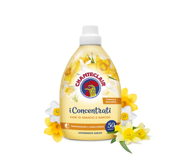 https://i.ibb.co/pL2fWch/image.png