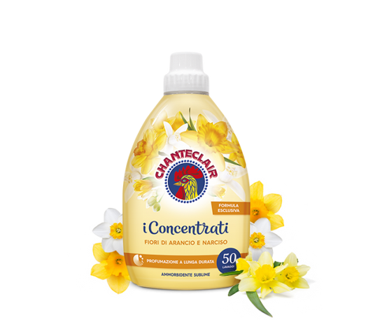 https://i.ibb.co/pL2fWch/image.png