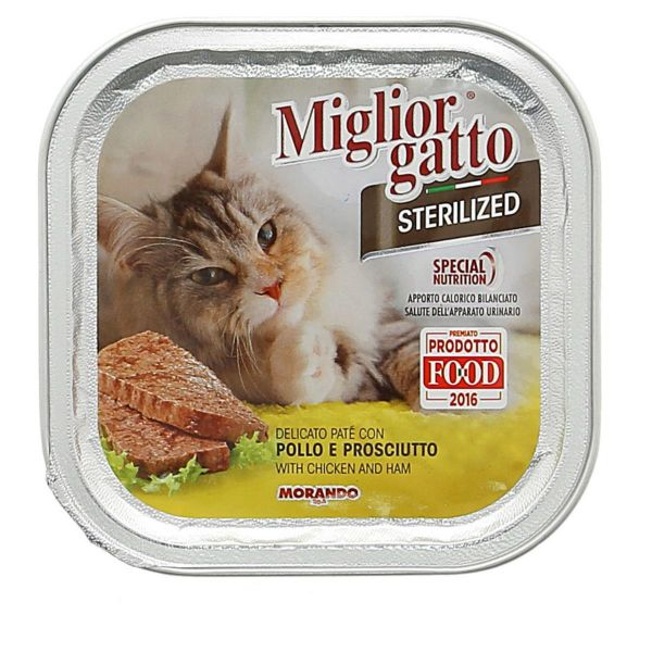 https://i.ibb.co/jJjq9C6/image.png