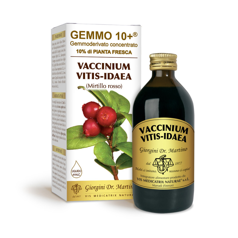 https://i.ibb.co/dMqdwDQ/image.png