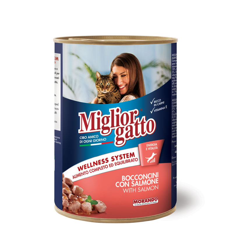 https://i.ibb.co/mFpzqmn/image.png