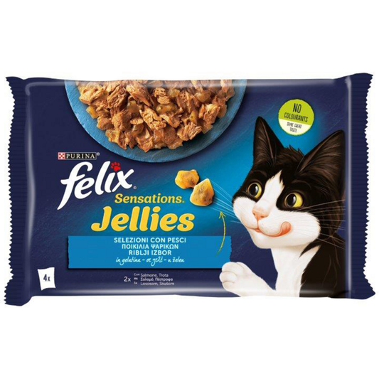 https://i.ibb.co/pvtGXLy/image.png