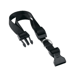 https://i.ibb.co/68WPnPg/image.png