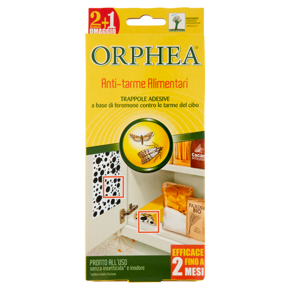 ORPHEA A/T12534 – Gea & co N
