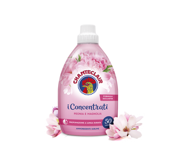 https://i.ibb.co/JBbtWrX/image.png