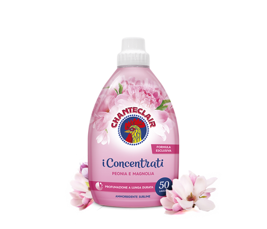 https://i.ibb.co/JBbtWrX/image.png
