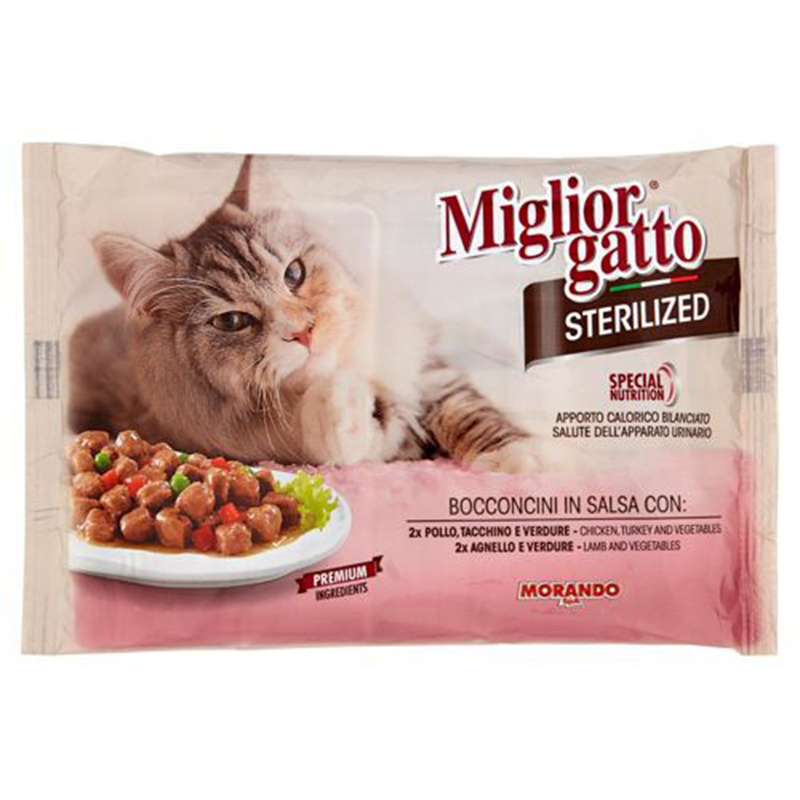 https://i.ibb.co/B2BJBNY/image.png