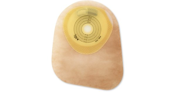 https://i.ibb.co/K2GDqGr/image.png