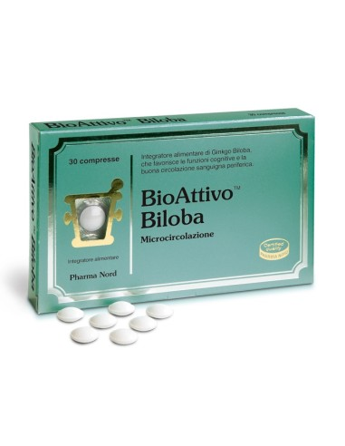 https://i.ibb.co/Bybczd0/image.png