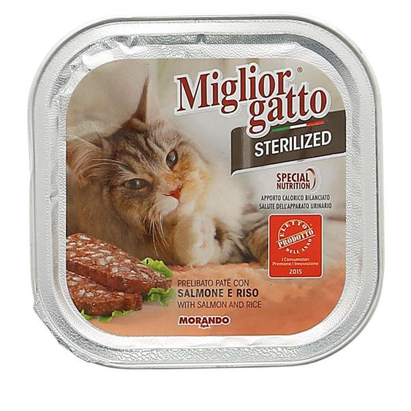 https://i.ibb.co/XDmhgRX/image.png