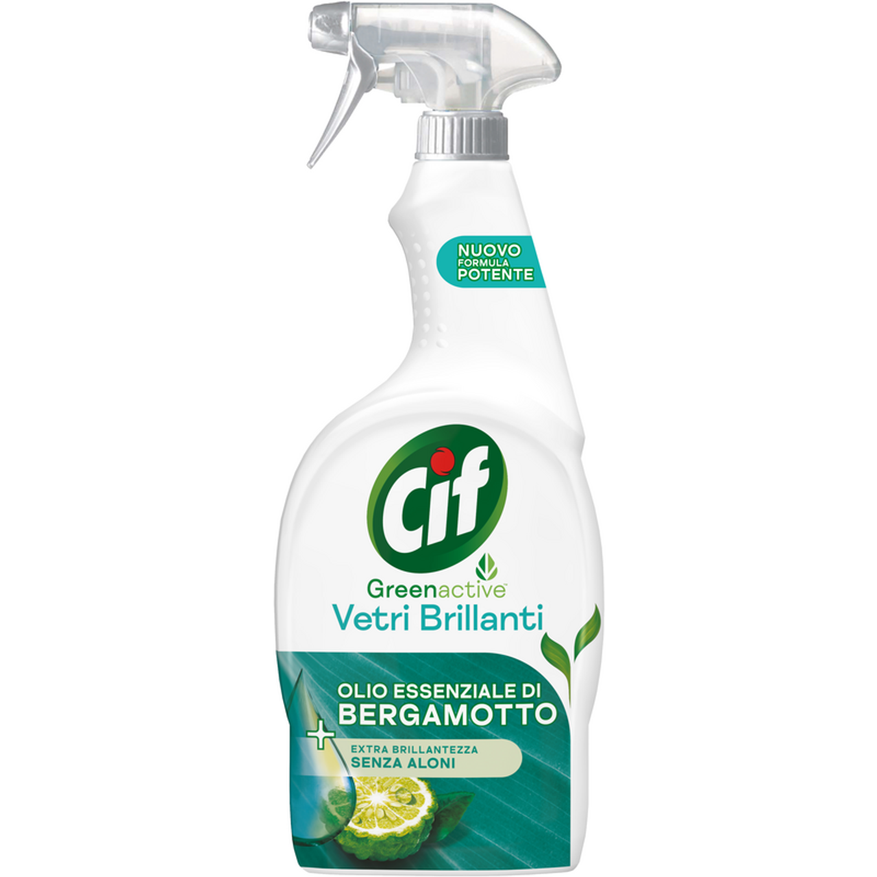 https://i.ibb.co/KrPdBX3/image.png