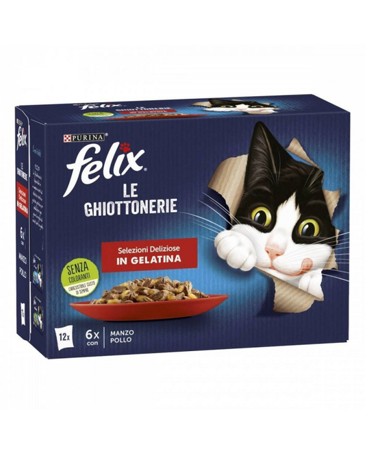 https://i.ibb.co/gTZvhXK/image.png