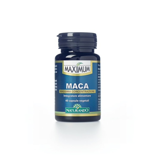 https://i.ibb.co/8bg0XZD/image.png