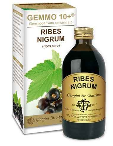 https://i.ibb.co/mGfyMg5/image.png
