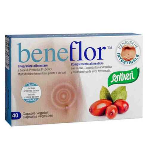 https://i.ibb.co/fYYmW4M/image.png