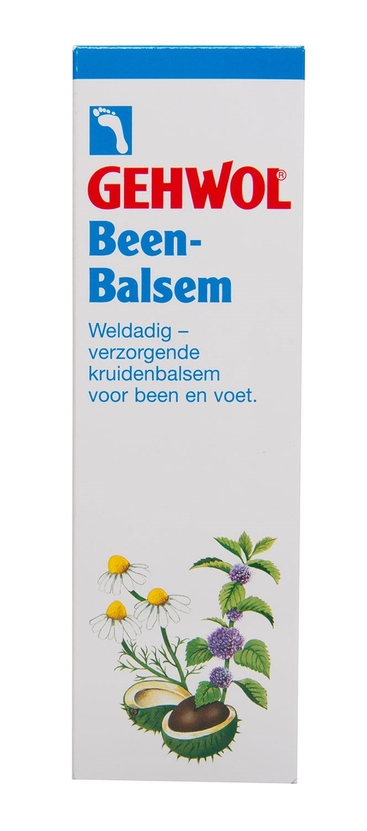 https://i.ibb.co/TtJY0Z2/image.png