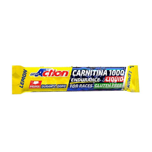 https://i.ibb.co/wYKX1tV/image.png
