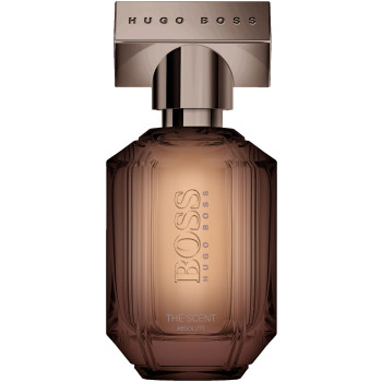 https://i.ibb.co/vVGR9qj/image.png