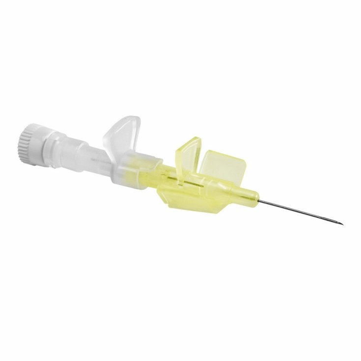 https://i.ibb.co/PrJD9th/image.png