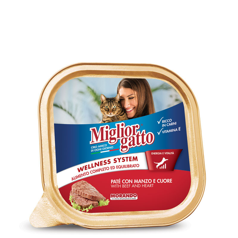 https://i.ibb.co/KbGKbSc/image.png