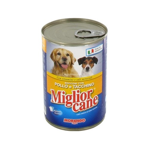 https://i.ibb.co/4pgNnGG/image.png